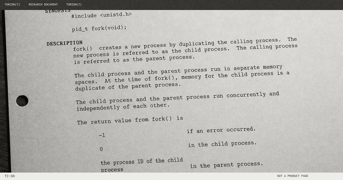 Man-page crop for source-reading notes